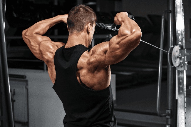 Omuz egzersizleri antrenman rehberi